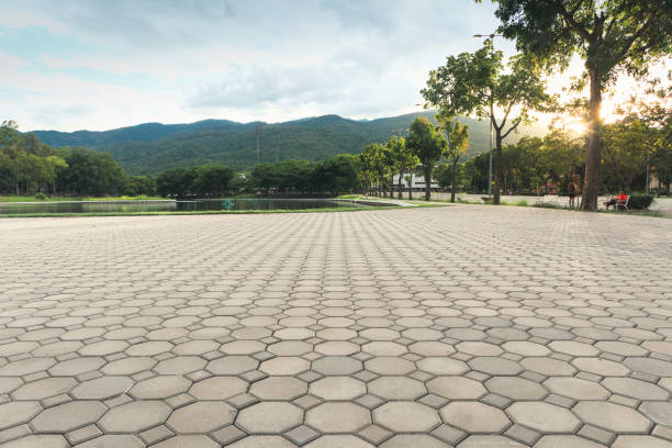 Best Driveway Paver Repairs and Restoration in Manassas Park, VA